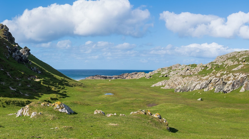 Green meadow known as Happy Valley, near Hynish, Isle of Tiree, Inner Hebrides, Scotland