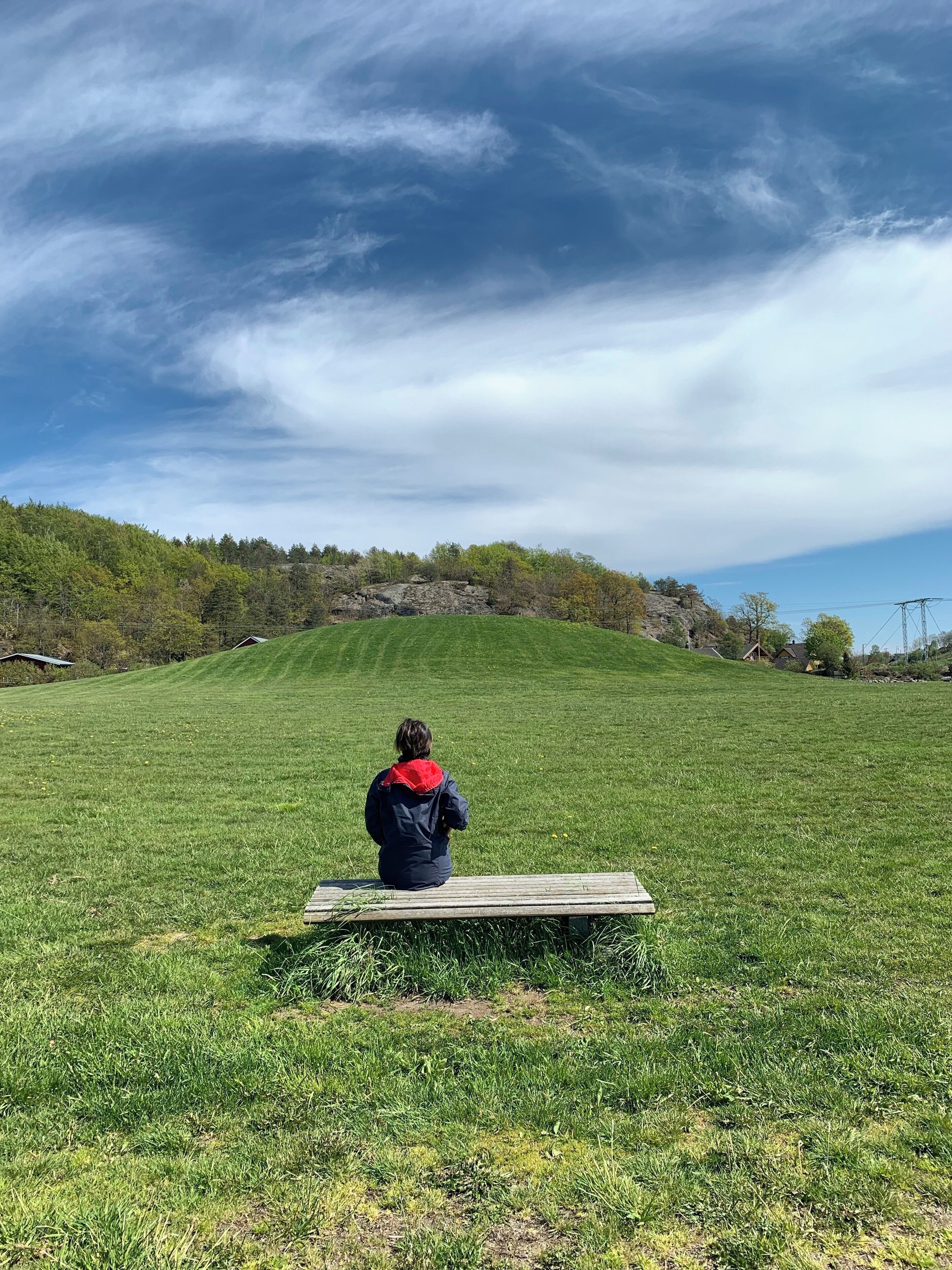 Not your ordinary mound. This 
 was the excavation site of the famous viking boat which is in Oslo museum now.