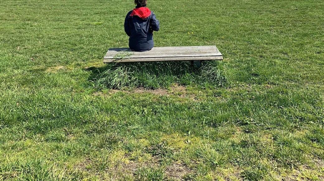 Not your ordinary mound. This
was the excavation site of the famous viking boat which is in Oslo museum now.