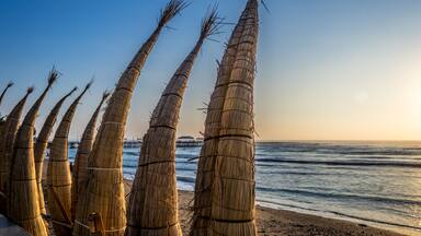 A beach with tall, bundled palm fronds and a pier in the background.