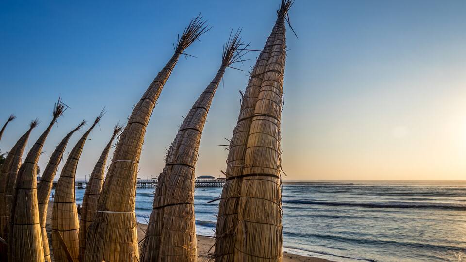 A beach with tall, bundled palm fronds and a pier in the background.