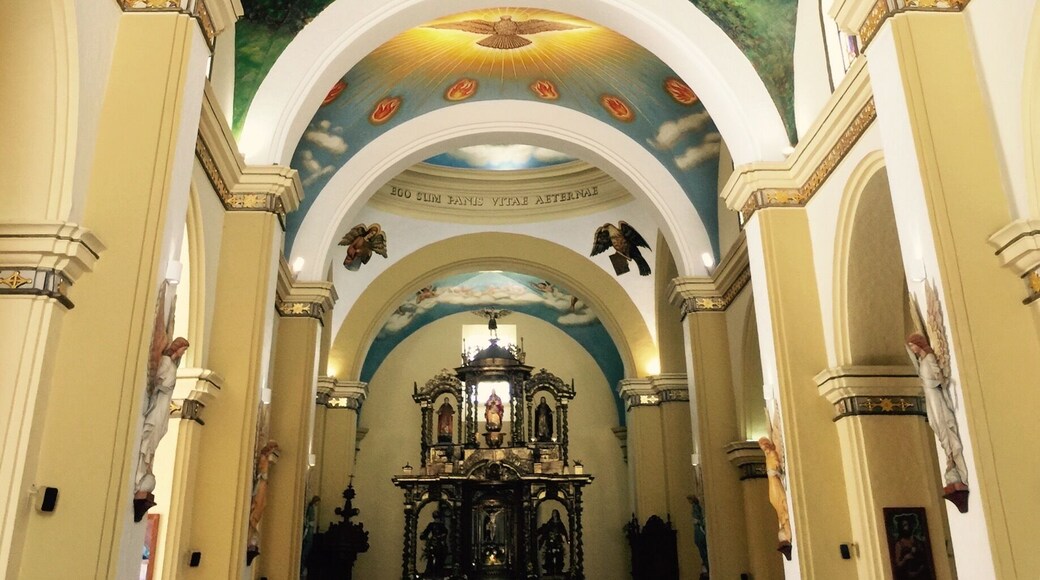 The magnificent ceiling on a cathedral