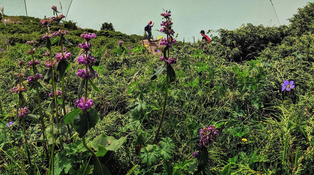 A trip to Almaty, Kazakhstan isn't complete without a day trip to Big Almaty Lake. Wear layers as the lake is over 8000 ft above sea level (2511m) and can be cold or hot depending on the quickly changing weather. Bring a picnic and enjoy the mountain scenery!
#mountains #kazakhstan #lake #travel #nature