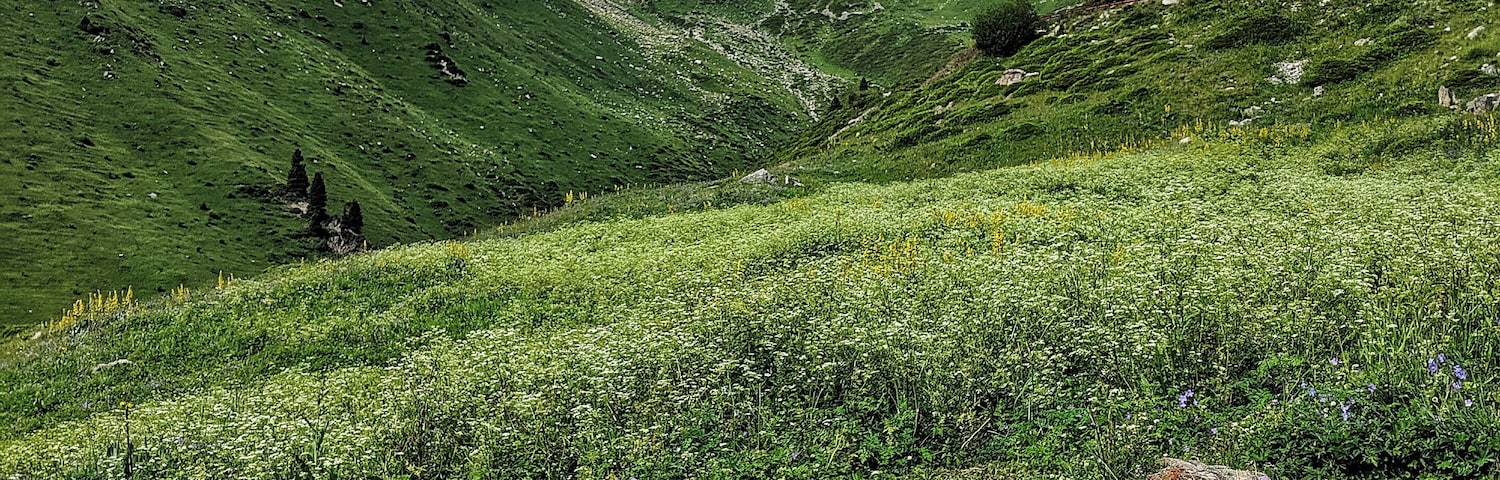 Big Almaty Lake is so close to the city that you can take a taxi to it! Enjoy beautiful views, hiking, and picnic spots
#adventure #nature #greatoutdoors