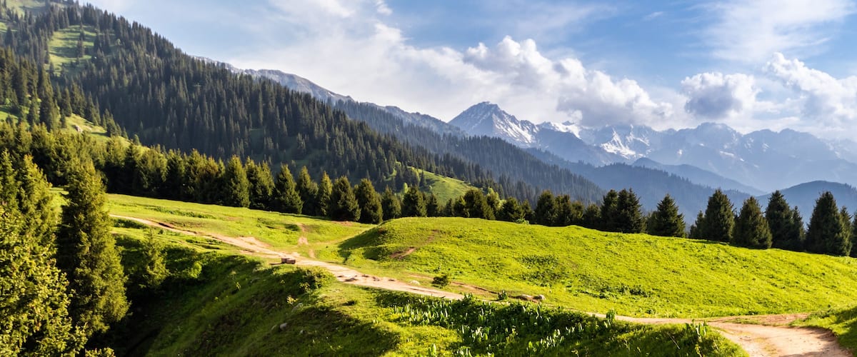 A mountainous landscape with a dirt path, dense forests, and snow-capped peaks under a partly cloudy sky.