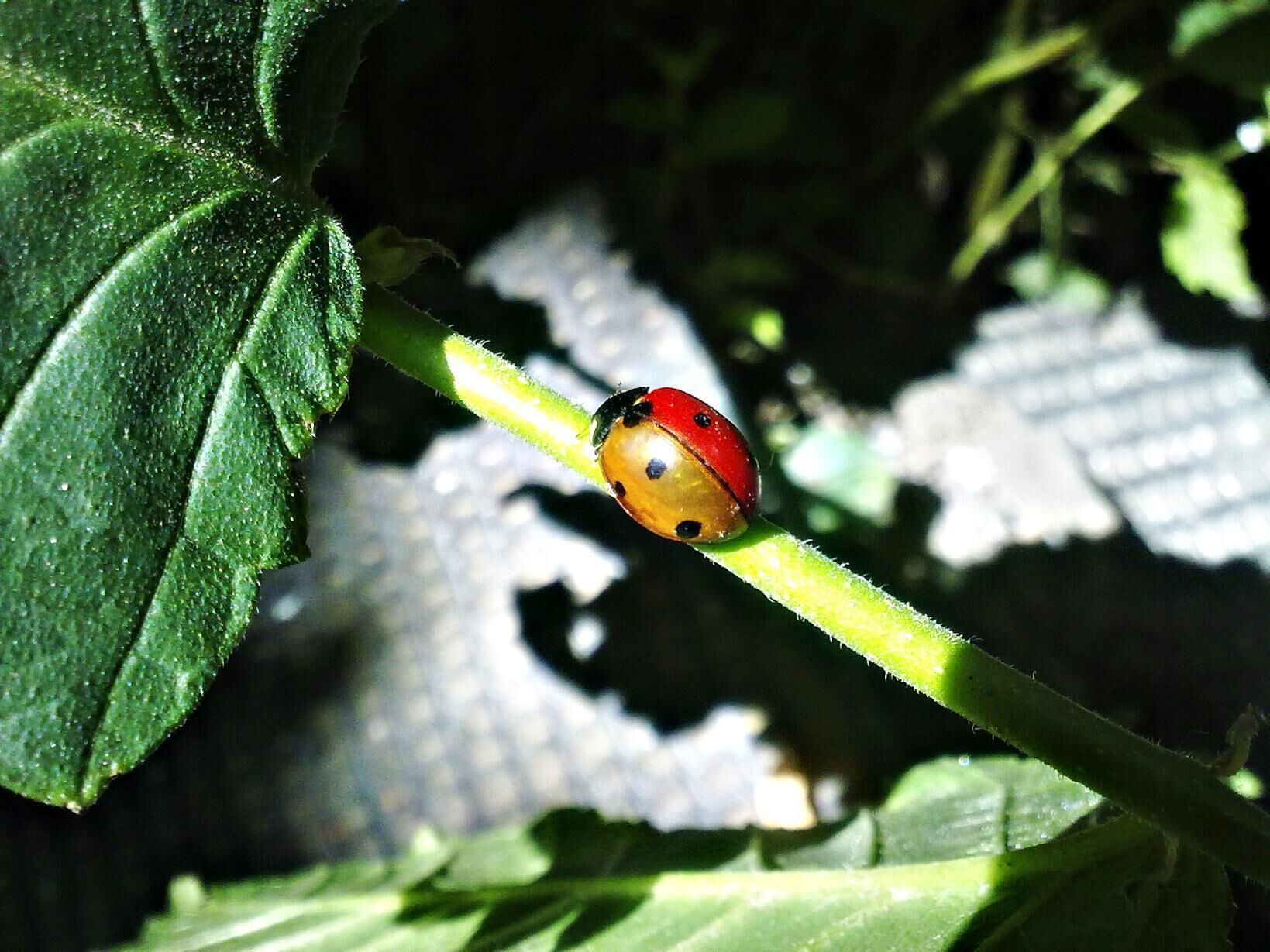 There is something in the air...#patterns