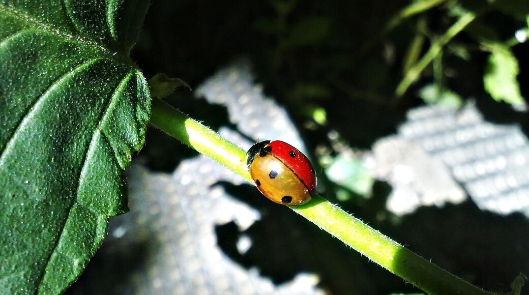 There is something in the air...#patterns