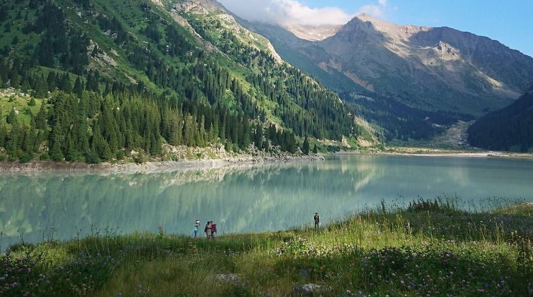 Beautiful nature and real escape during hot days, just 40 minutes from the city side