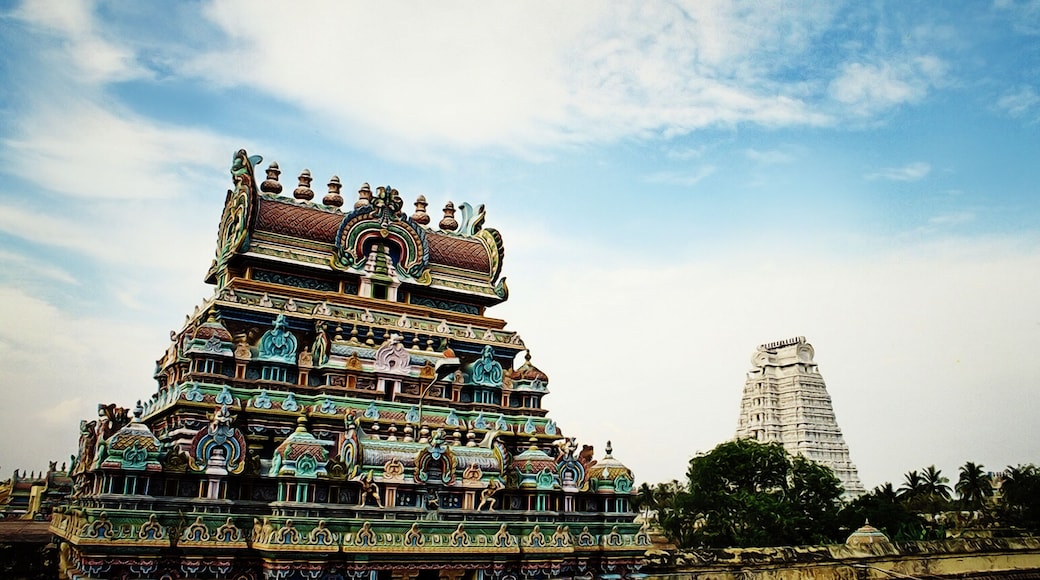 Entrance gateways or Gopuram in the Ranganathaswamy temple dedicated Shiva gog at Trichy in Tamil Nadu, India