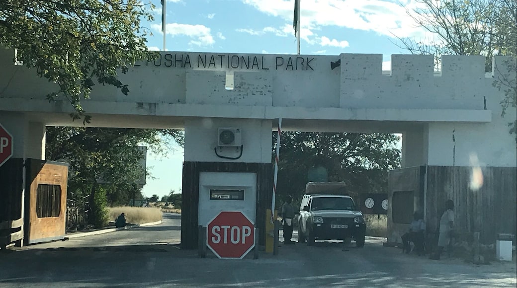 One of the entrance to Etosha park, Namibia! Where you can self drive and do safari!
