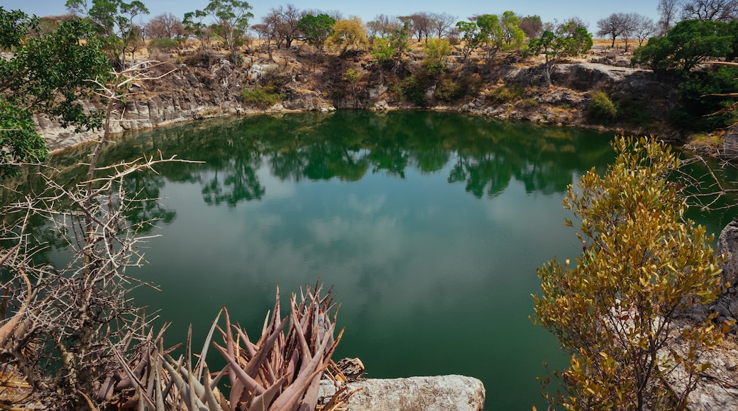 Namibia's Otjikoto Lake, one of only two in the country