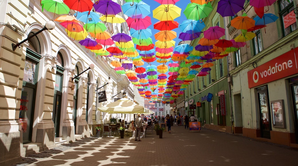 Timisoara bevat kunst in de open lucht