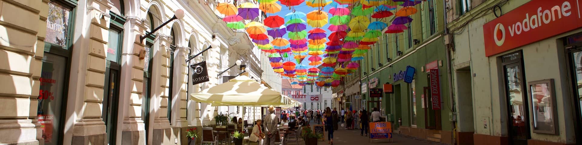 Timisoara featuring outdoor art