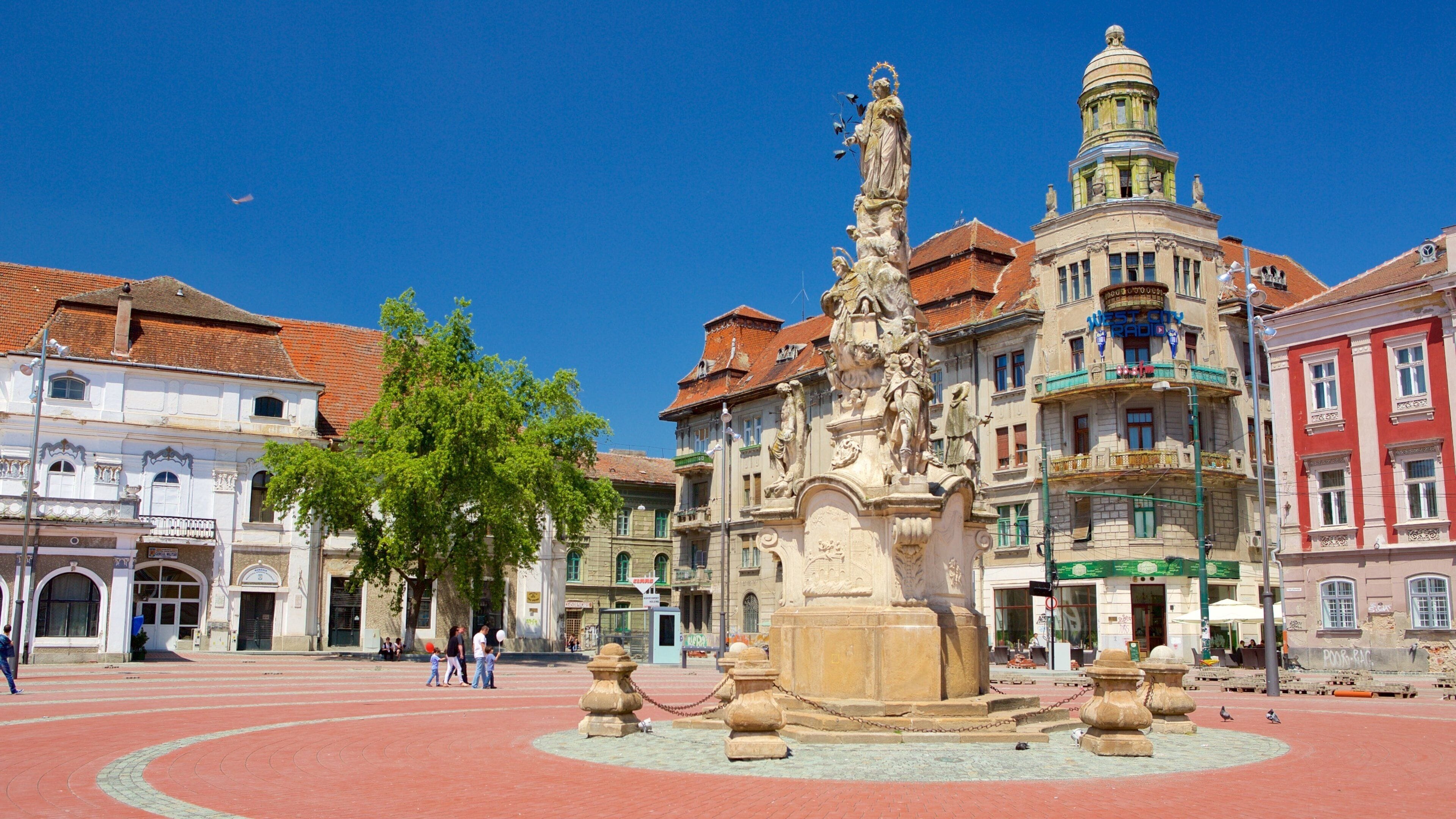 Timisoara featuring a statue or sculpture and a square or plaza