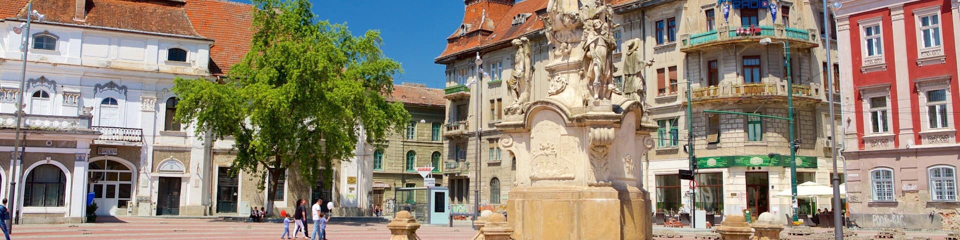 Timisoara featuring a square or plaza and a statue or sculpture