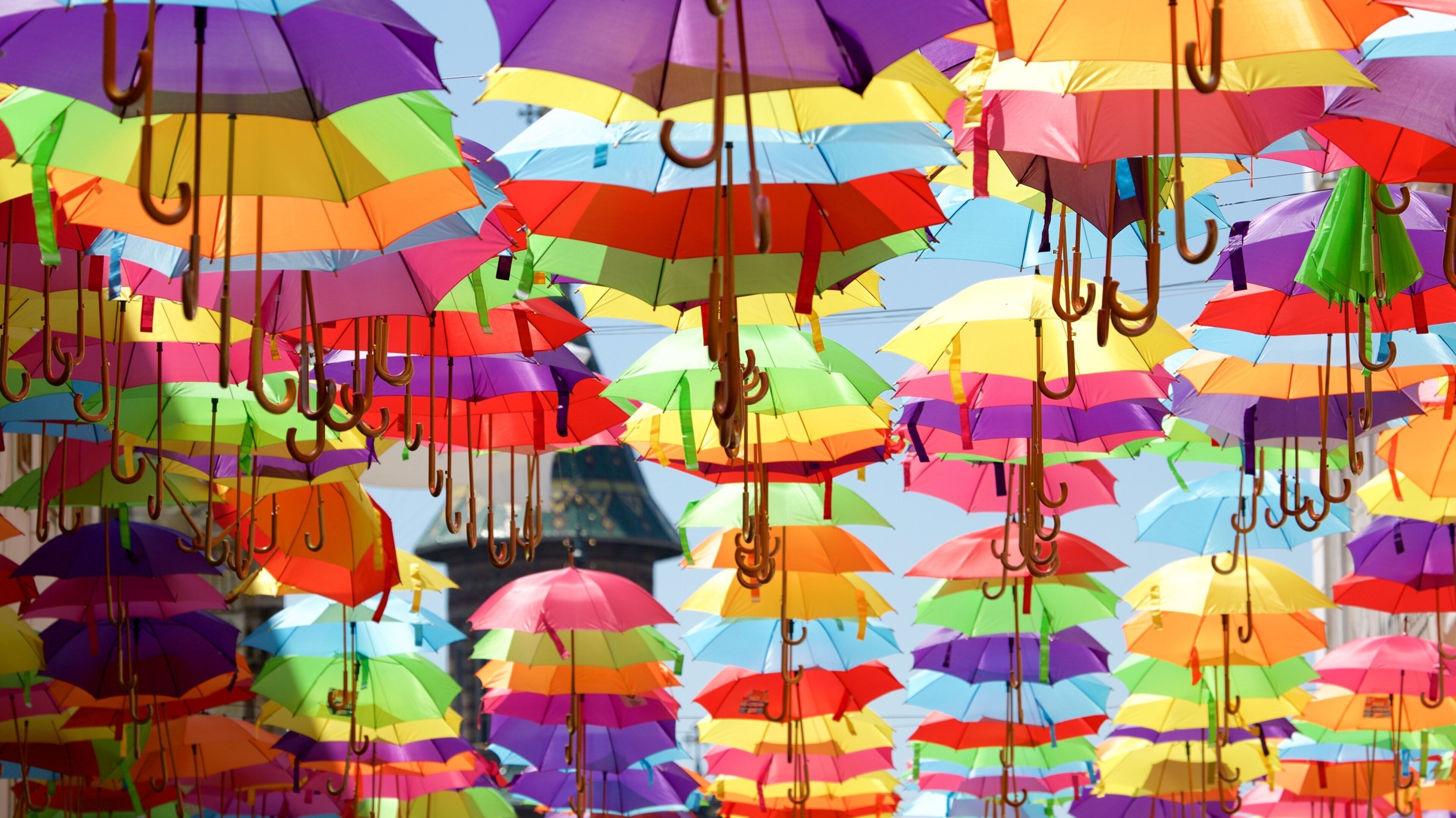 Timisoara showing outdoor art