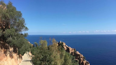 Seemingly the road to nowhere but it was a wonderful place.