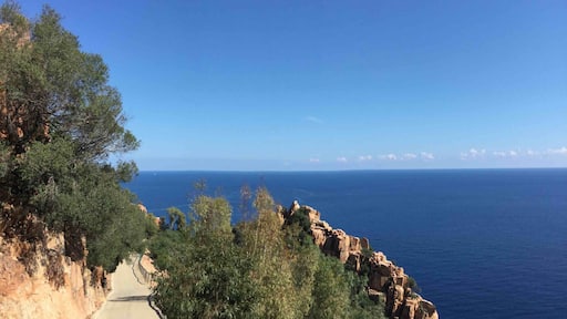 Seemingly the road to nowhere but it was a wonderful place.