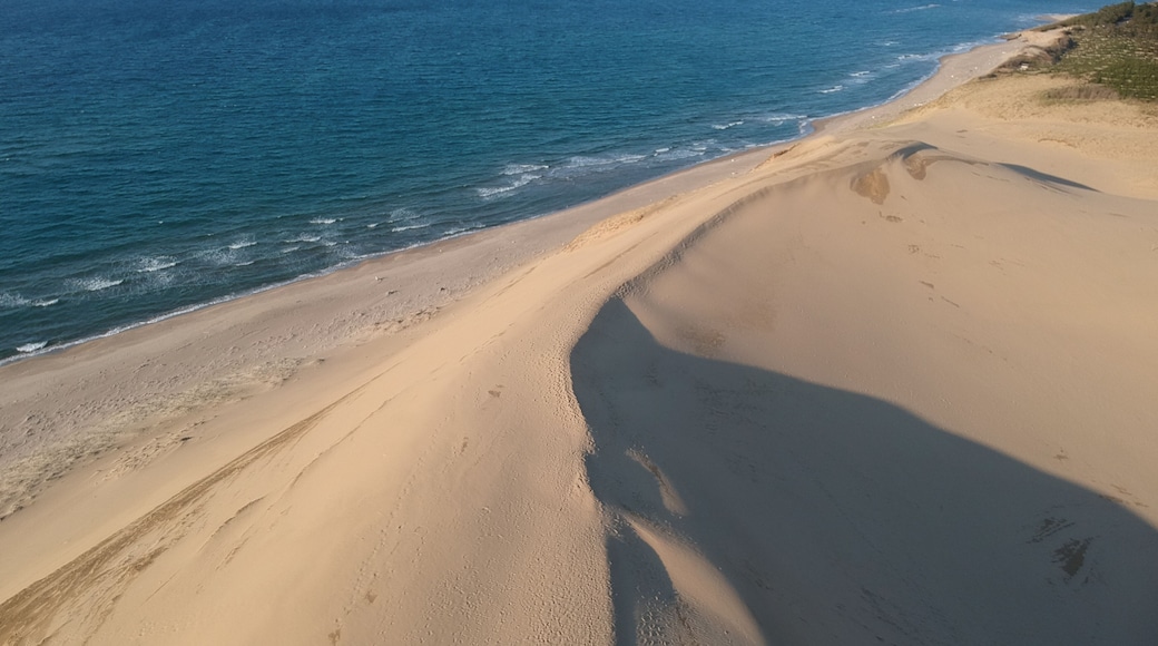 Sand Dunes by the Japan Sea in Tottori