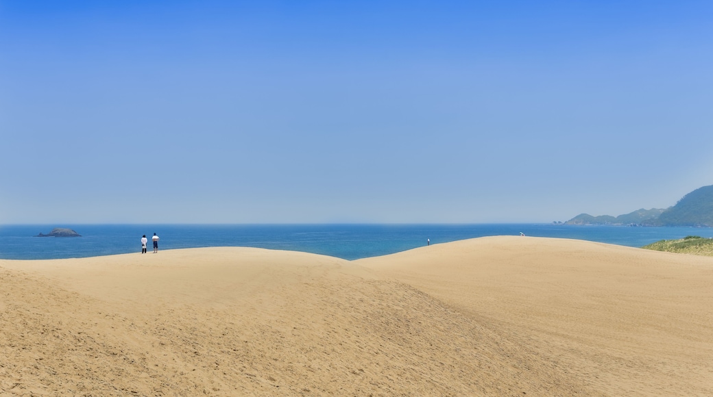 Sand hill, Tottori prefecture, japan