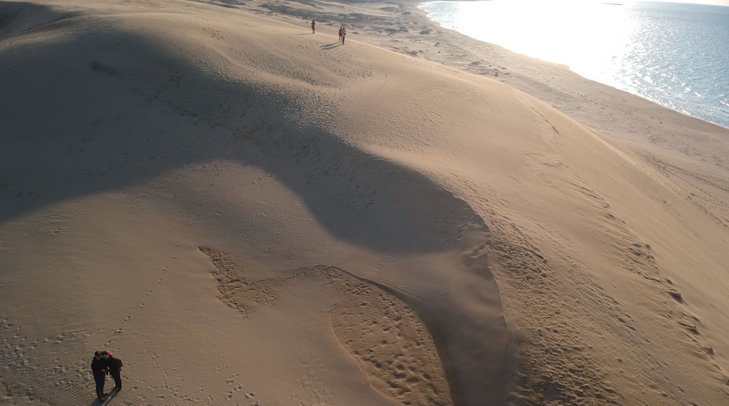 Tottori Sand Dunes