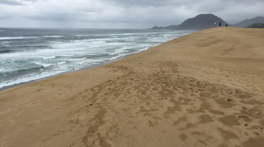 Surprisingly the sand wasn't as difficult to traverse as I would have imagined. Perhaps because it wasn't blistering hot the day I visited and the slight drizzle compacted them. It's one of the most scenic and romantic area for those who like to take walks near the sea! It's also a huge area (30 sq km) and the only large sand dunes in Japan.