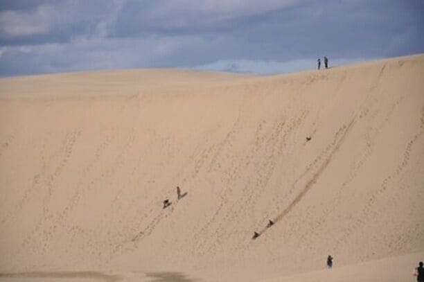 On the western coast of Honshu, Tottori has the most non-Japanese looking landscape. Dunes! Massive sand dunes! They even have camels for people to ride. The dunes were both more and less than expected. It wasn't a very large area covered by dunes, but they were very tall and impressive. Fun to climb and jump down.
#beach