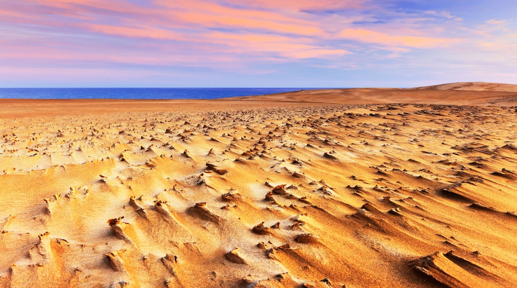 A vast desert landscape with rippled sand dunes under a colorful sky.