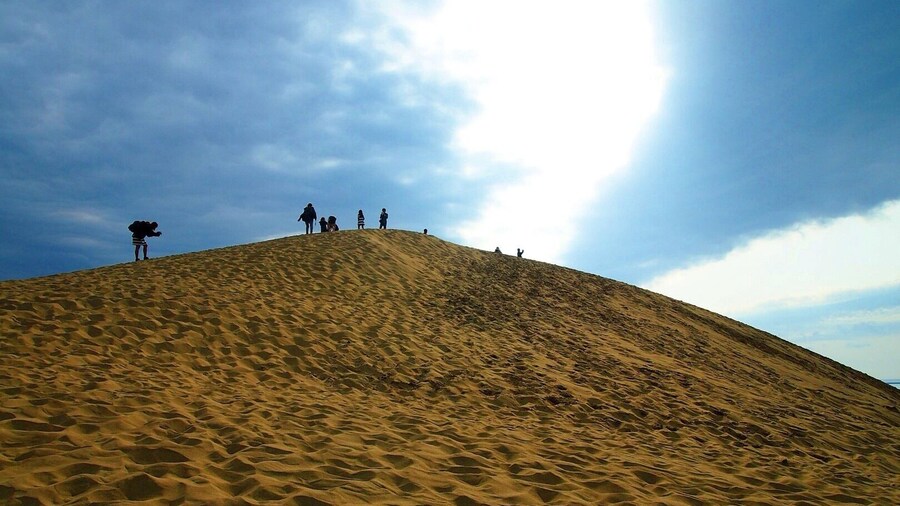 I just enjoyed wandering around.