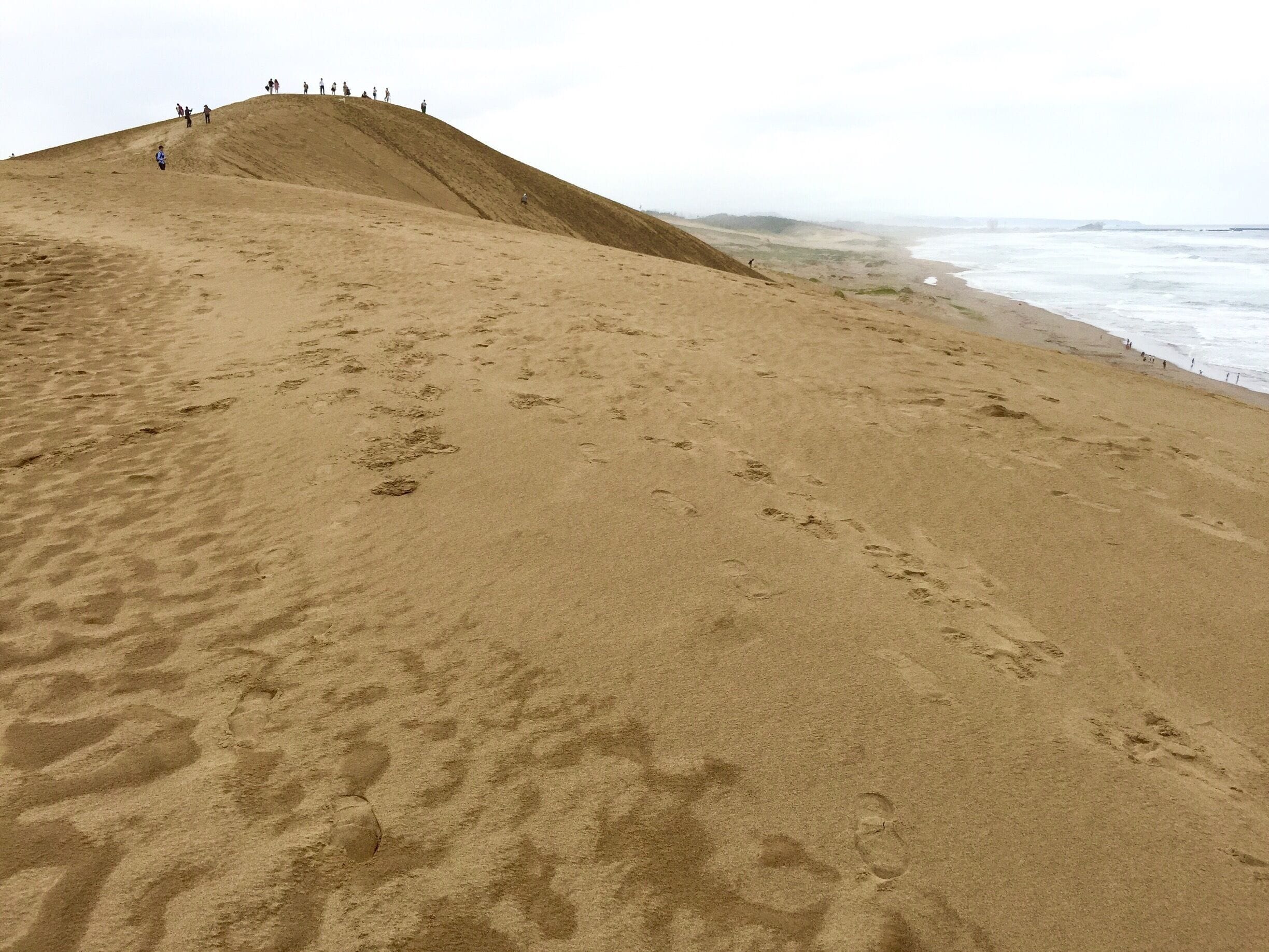 While for many Americans it's been Visit Cuba year, for many Asians it is Visit Japan year as the Japanese ¥ drops to historical low against many currencies. 

For me, it's 3rd visit to Japan this year since Spring! This time I ventured to Tottori, some 90+ minutes away by Super Hakuto train from Himeji. It is the first "desert" I visited in Japan and it is one that's just next to the Japan Sea! Making it a most interesting experience.

#desert #japan