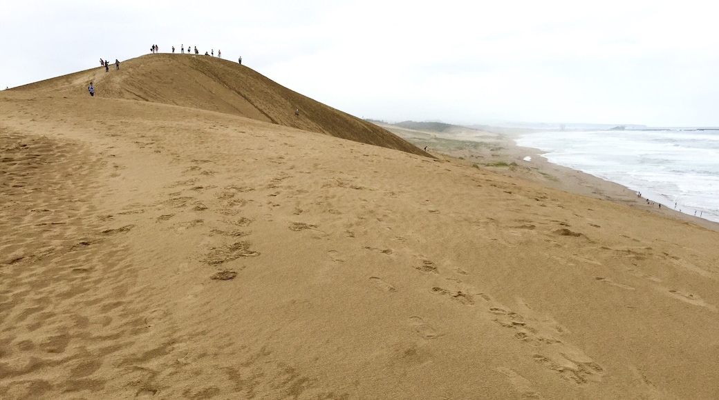 While for many Americans it's been Visit Cuba year, for many Asians it is Visit Japan year as the Japanese ¥ drops to historical low against many currencies.
For me, it's 3rd visit to Japan this year since Spring! This time I ventured to Tottori, some 90+ minutes away by Super Hakuto train from Himeji. It is the first "desert" I visited in Japan and it is one that's just next to the Japan Sea! Making it a most interesting experience.
#desert #japan