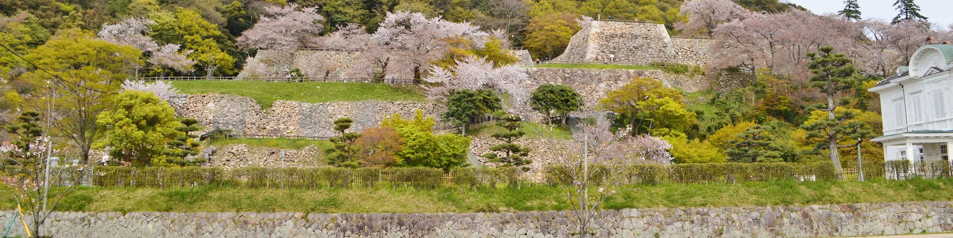 鳥取城 全景