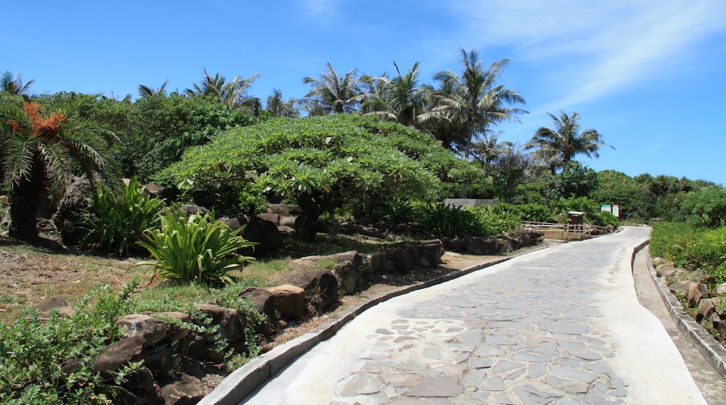 Taitung County Taitung City Siaoyeliou Area