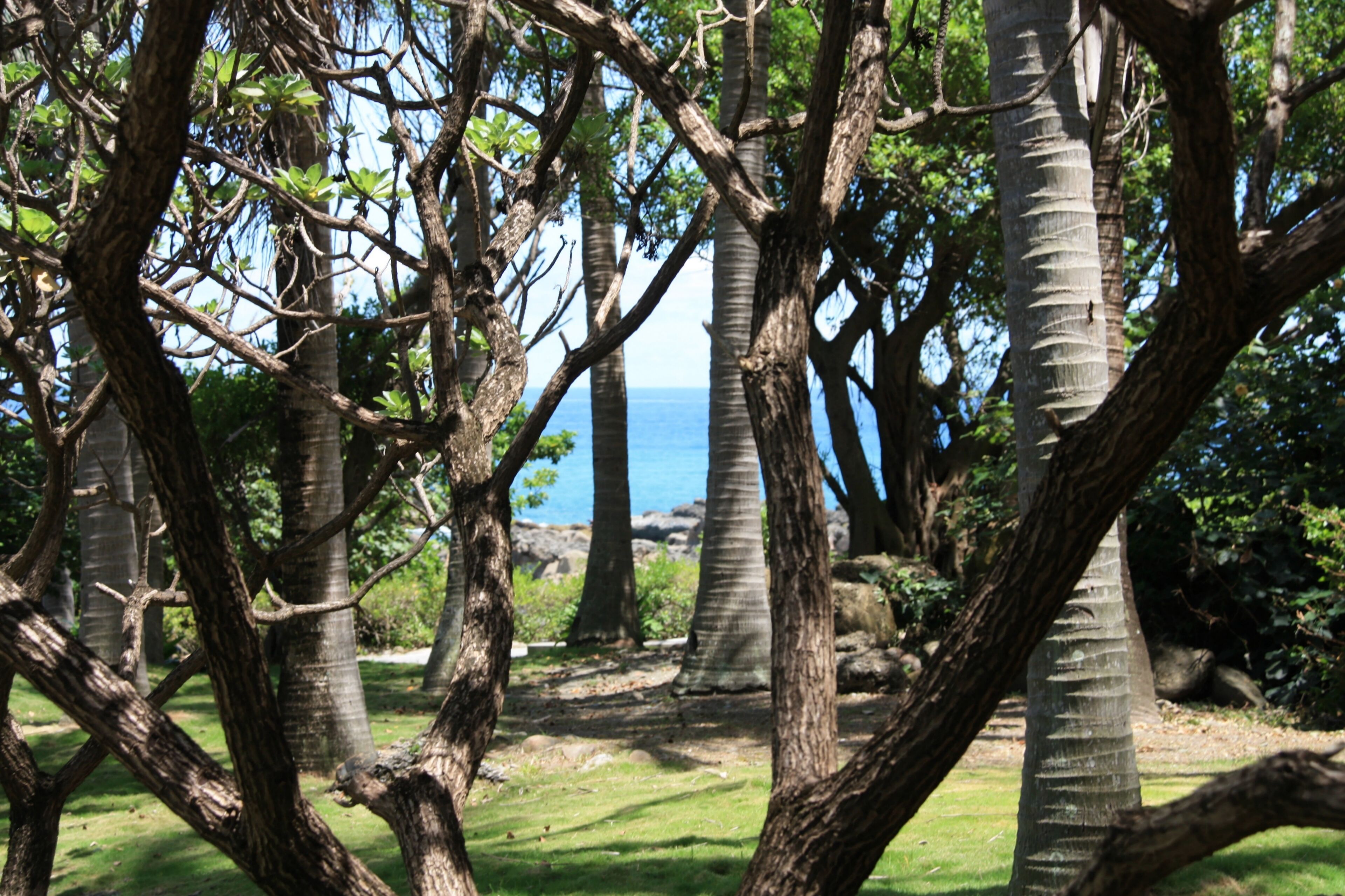Taitung County Taitung City Siaoyeliou Area Camera position and heading to be adapted