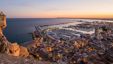 Alicante