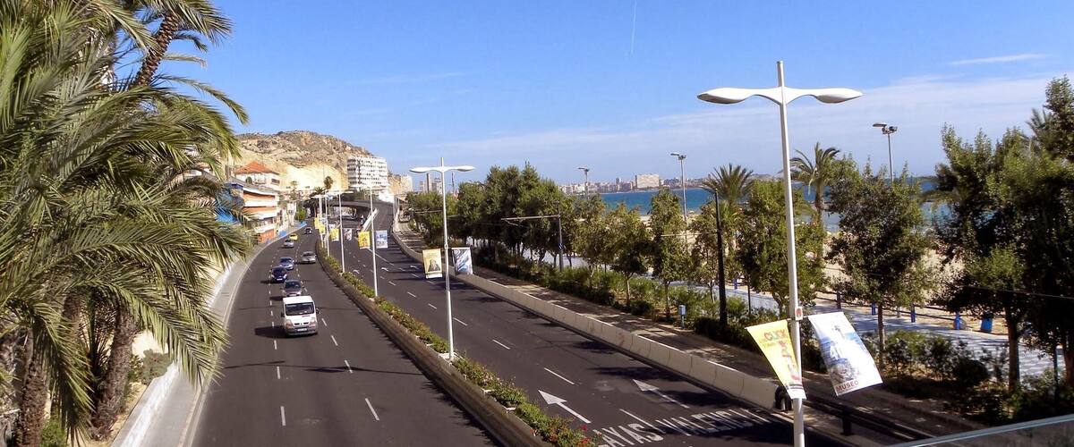 A coastal road with palm trees, a clear blue sky, and a distant view of a city and sea.