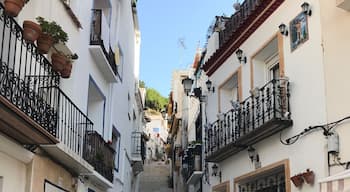 âOld Alicante Townâ
đȘđž