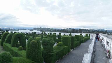 A cemetery with neatly trimmed hedges and rows of graves.