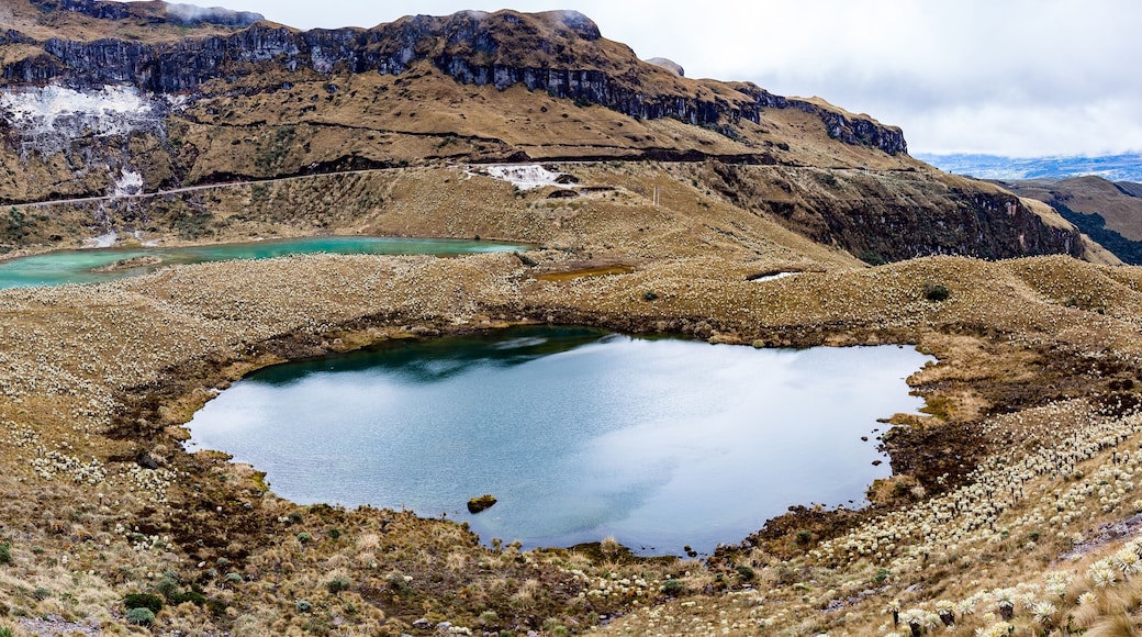 Green lagoons at the foot of the Chiles volcano, Andean páramo with frailejones in Tulcan, Carchi province