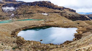 Green lagoons at the foot of the Chiles volcano, Andean páramo with frailejones in Tulcan, Carchi province