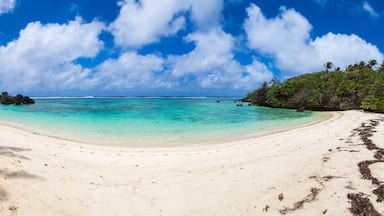 A beach with clear turquoise water, white sand, and scattered rocks.