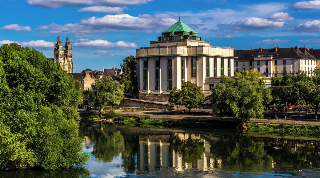The Public Library of Tours seen from the Pont Wilson. #TroveOnTuesday