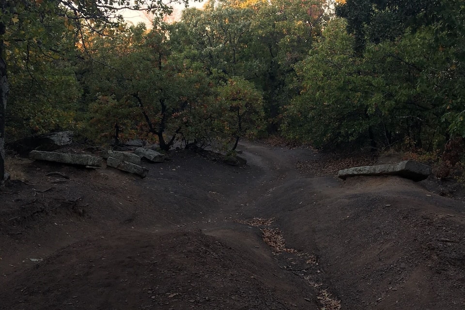 A dirt path surrounded by dense trees with autumn leaves.