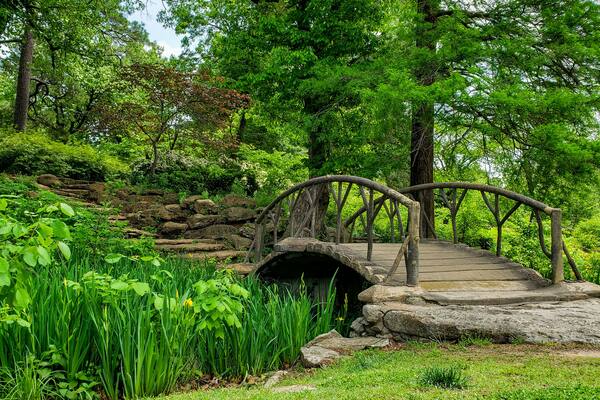 Beautiful park, lots of squirrels, lots flowers, super green