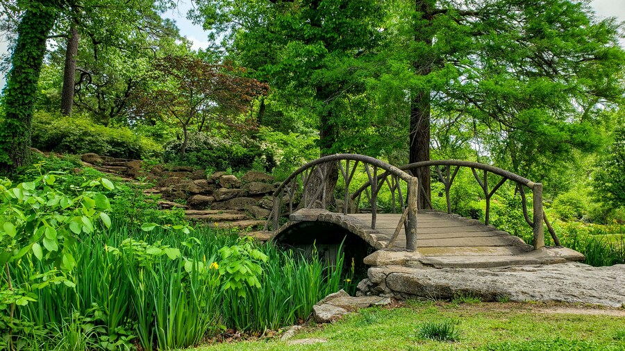 Beautiful park, lots of squirrels, lots flowers, super green