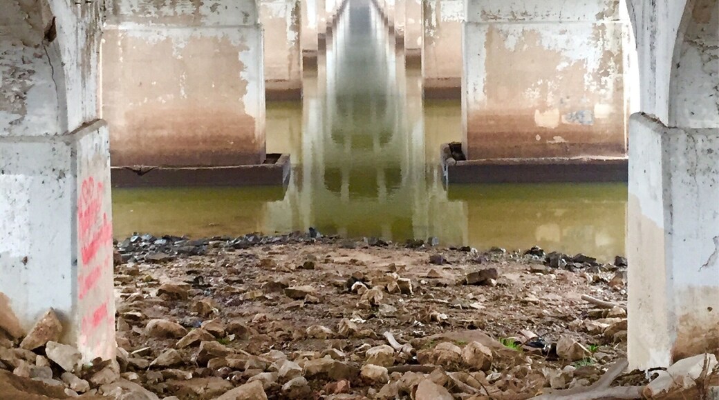 Cool perspective on a morning run in Tulsa before a hectic day of meetings