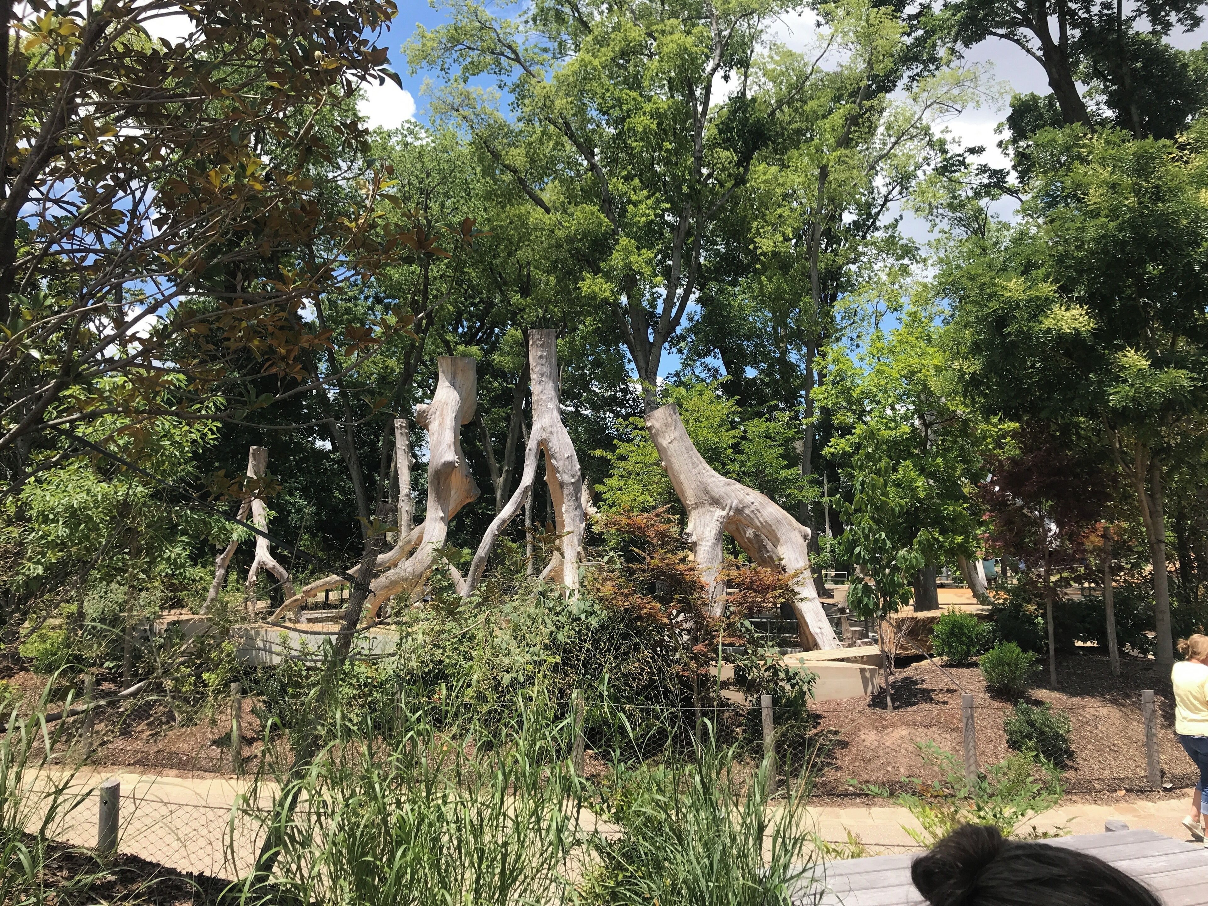 This is a must for family or just on your own. It’s a full free day of spectacular fun.