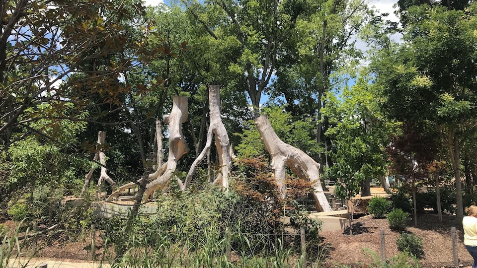 This is a must for family or just on your own. It’s a full free day of spectacular fun.