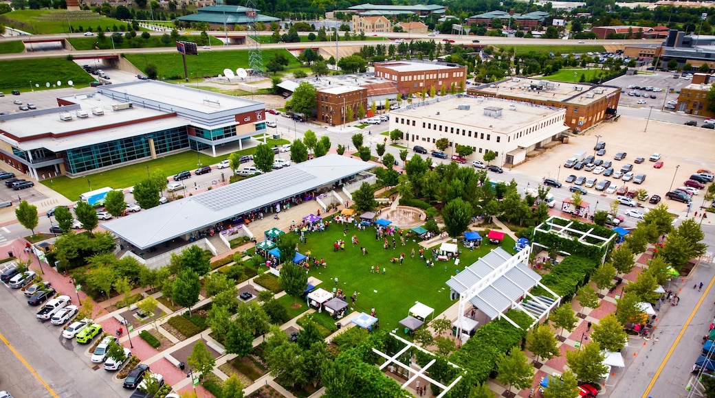 Labapalooza 2018 downtown Tulsa #adventurephotocontest