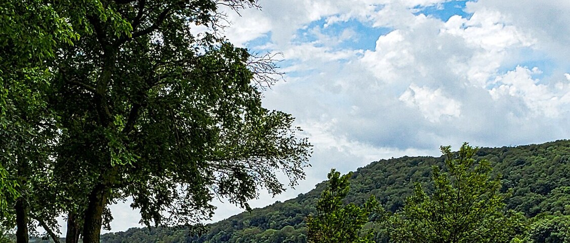 A paved path alongside a river, with trees and a cloudy sky.
